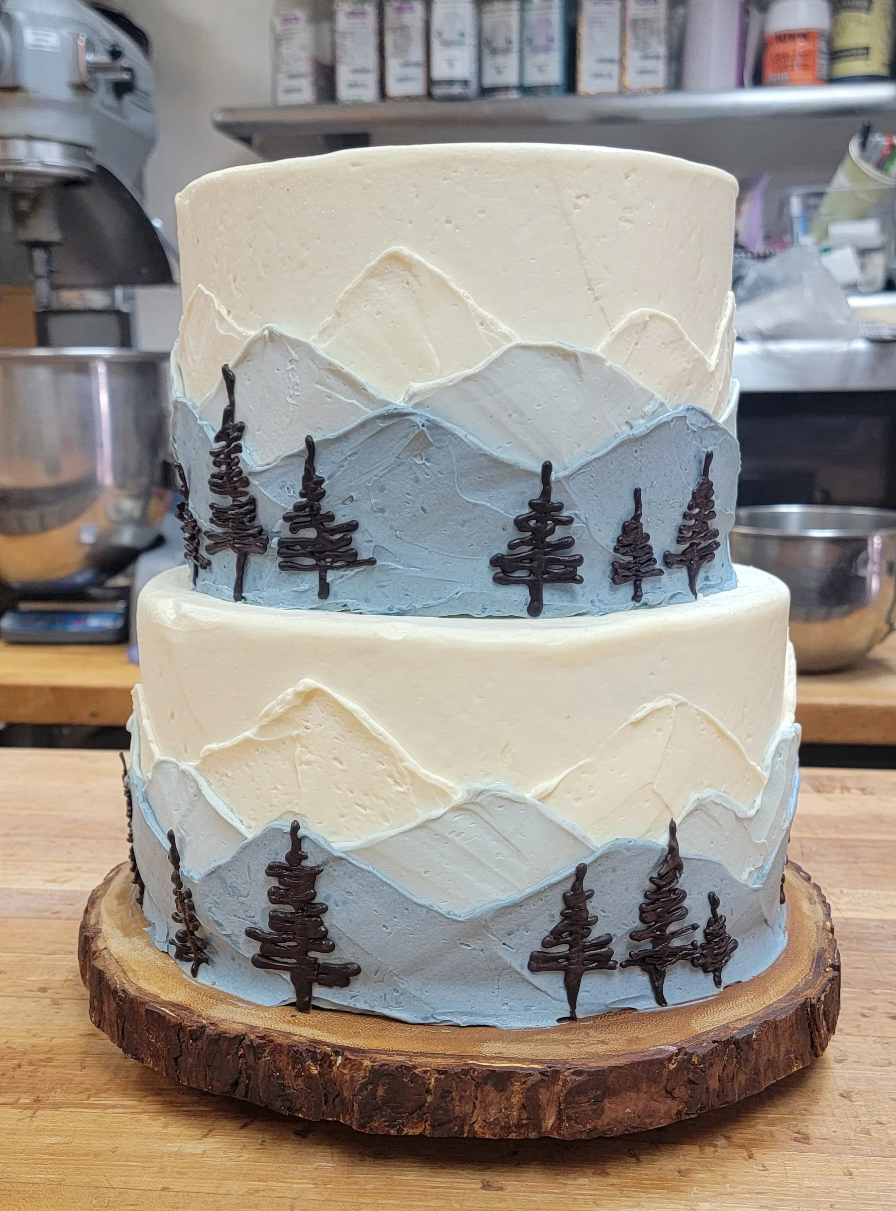 Decorated tiered cake with blue mountain frosting and chocolate pine trees