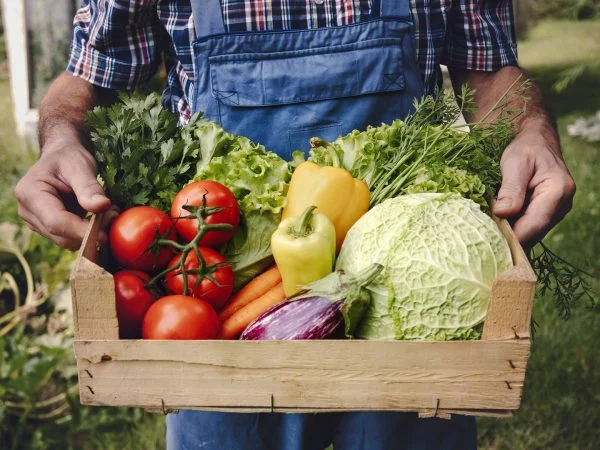 A person holding a wooden crate filled with fresh vegetables.