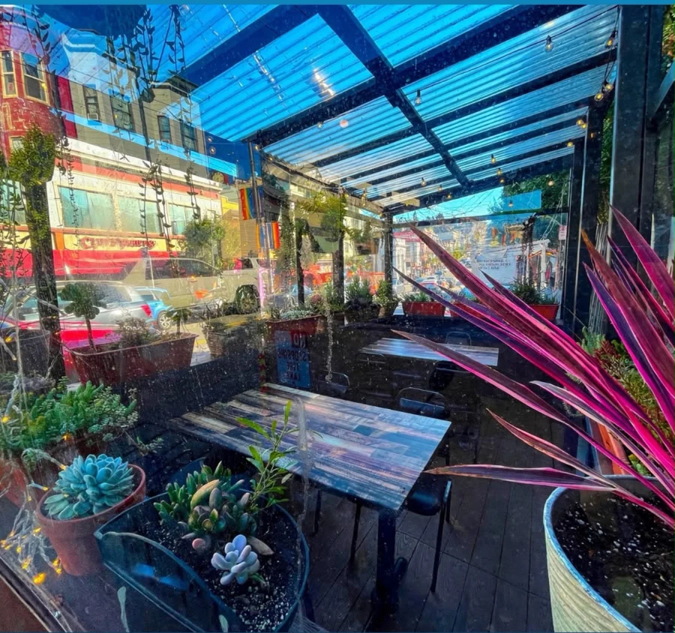 Castro Indian Restaurant covered patio by day, with colorful plants, succulents and tables