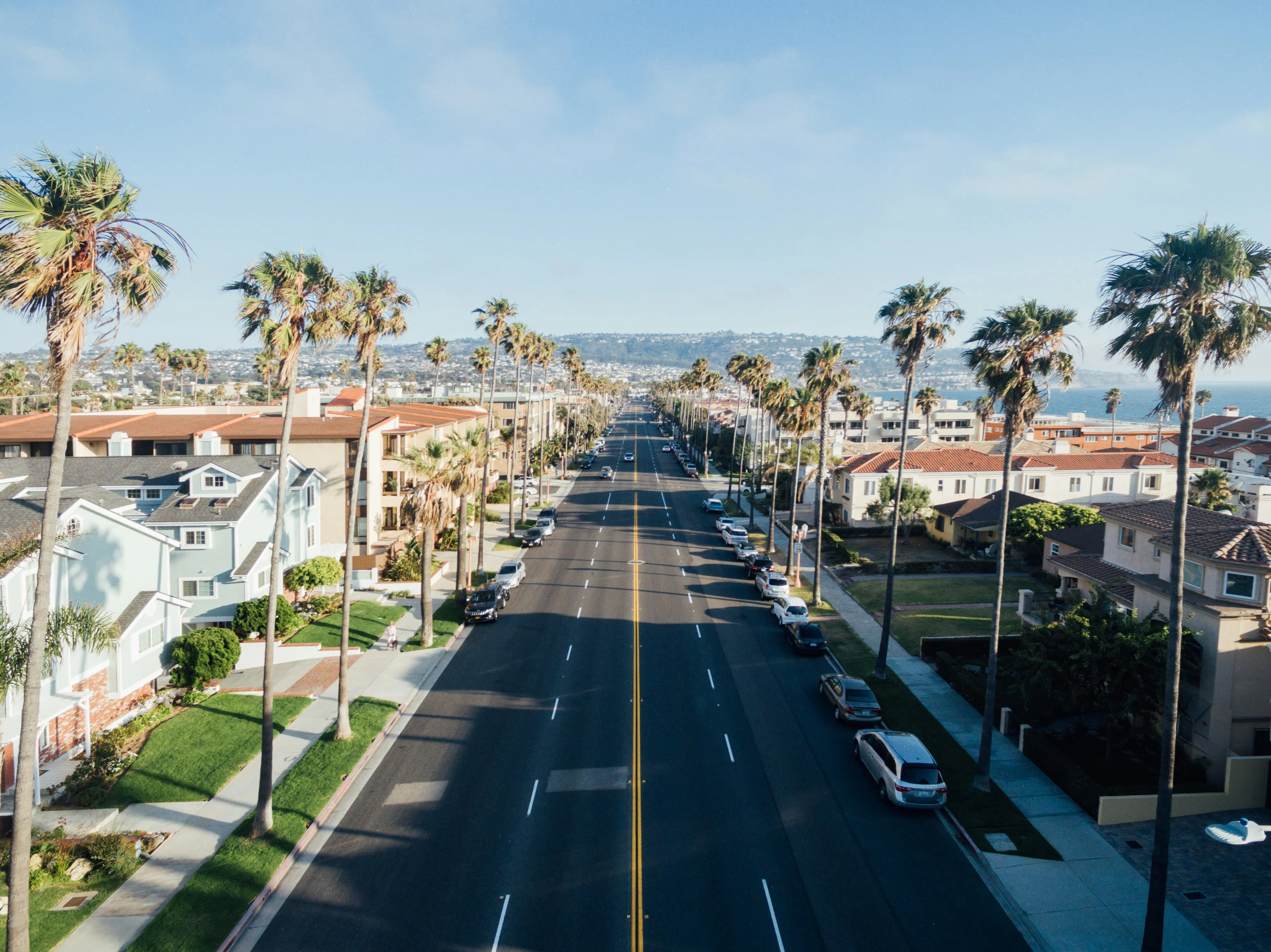 Scenic coastal street lined with palm trees and homes