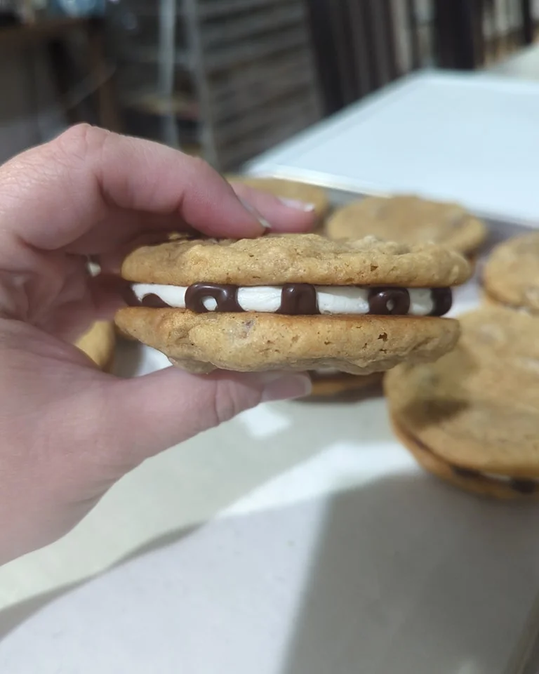 Homemade s'mores cookie sandwich with chocolate and marshmallow