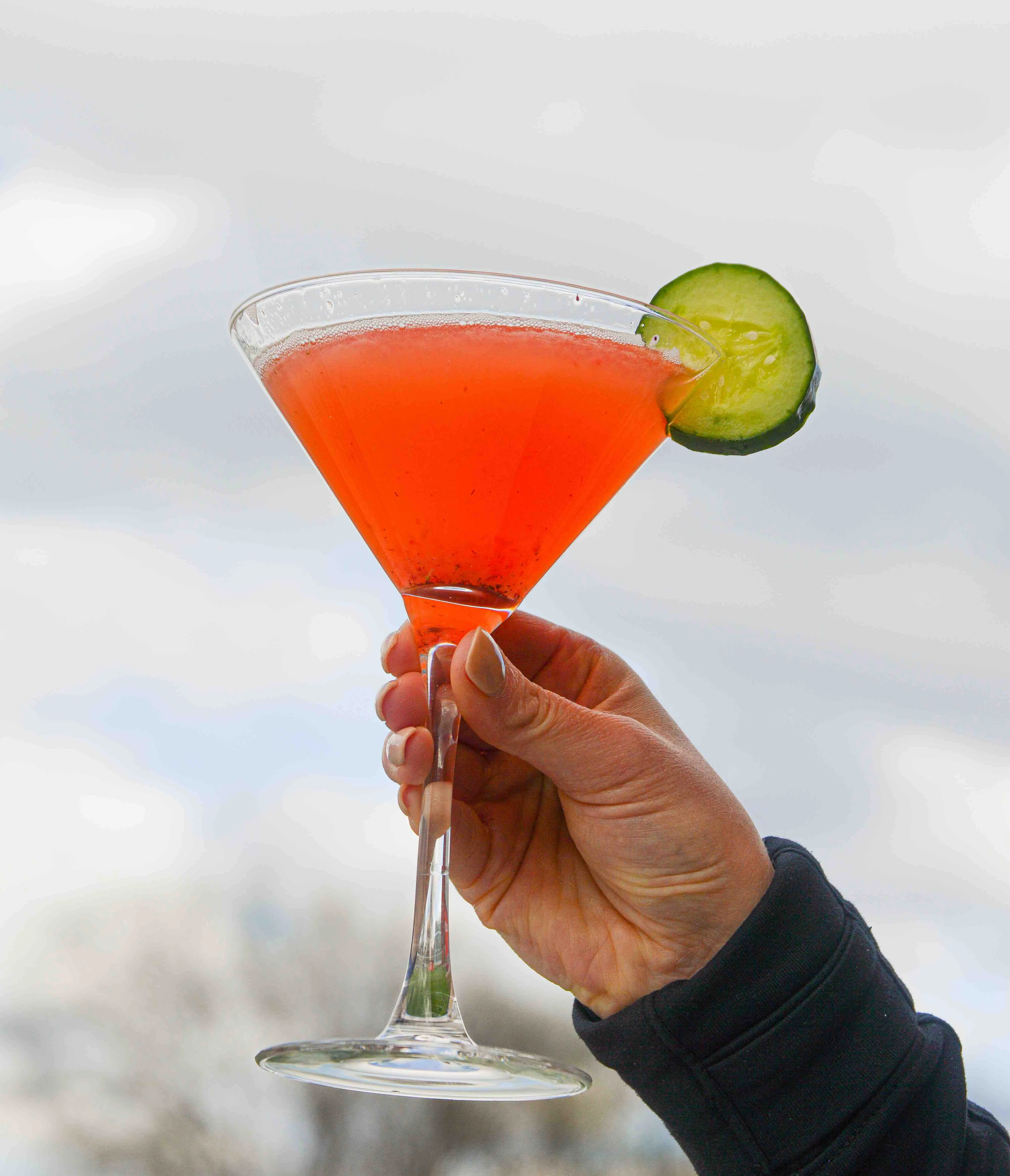 G.N.O. Martini with a cucumber slice on the rim being held up against a cloudy sky
