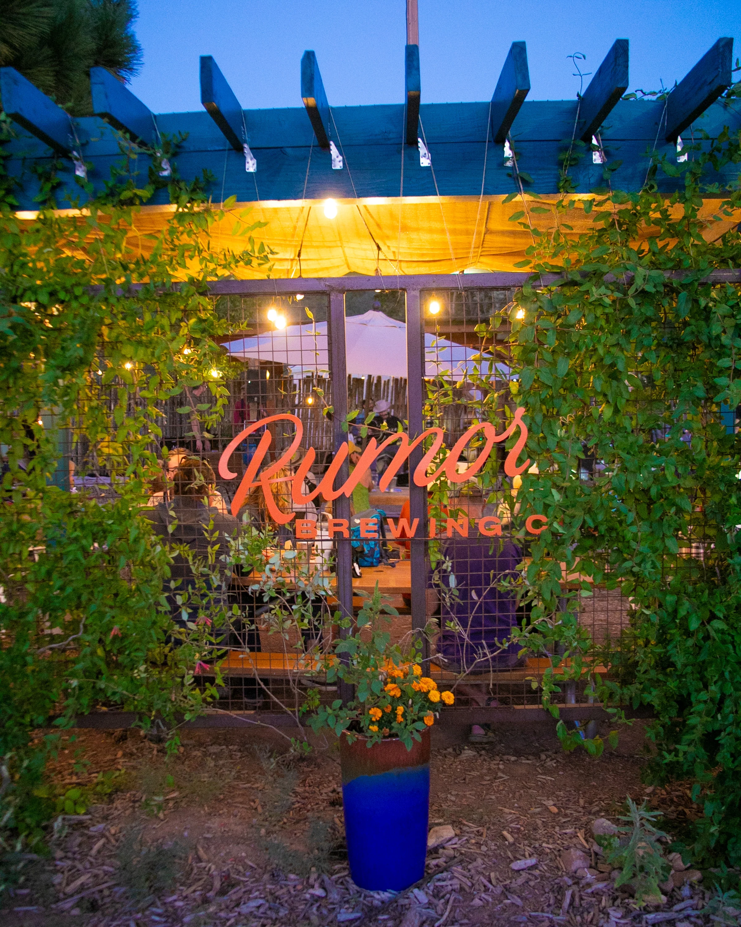 Cozy brewery entrance with warm lighting and greenery
