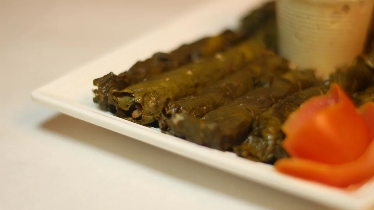 Plate of Mediterranean dolmas with yogurt sauce
