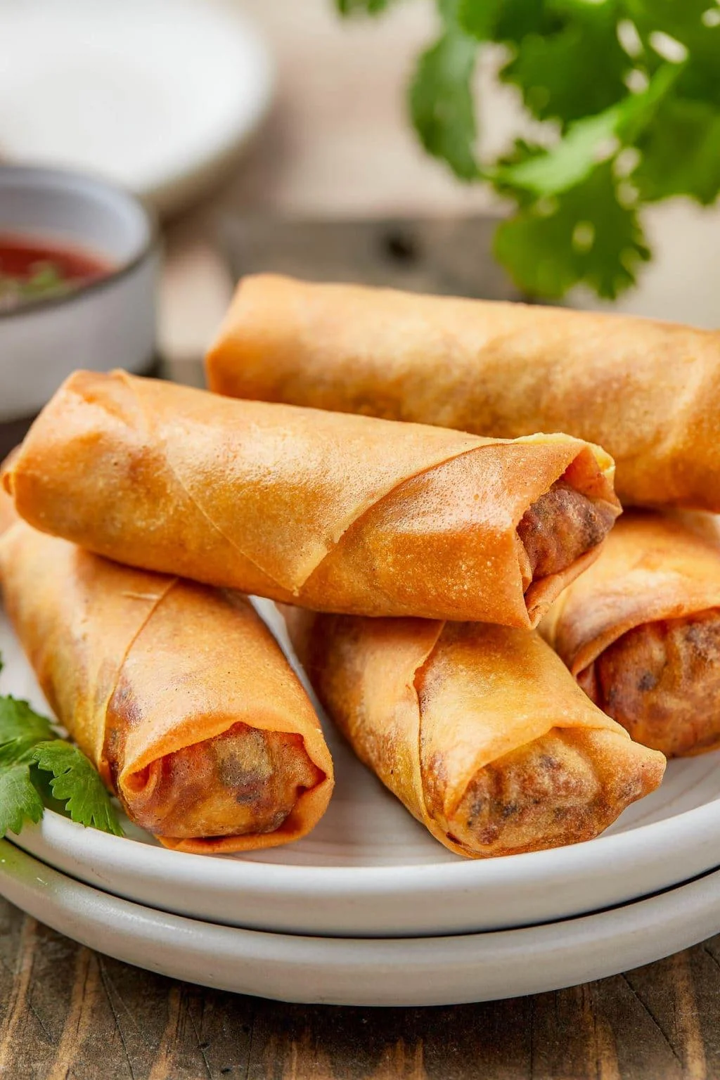 Veggie Crispy Spring Roll