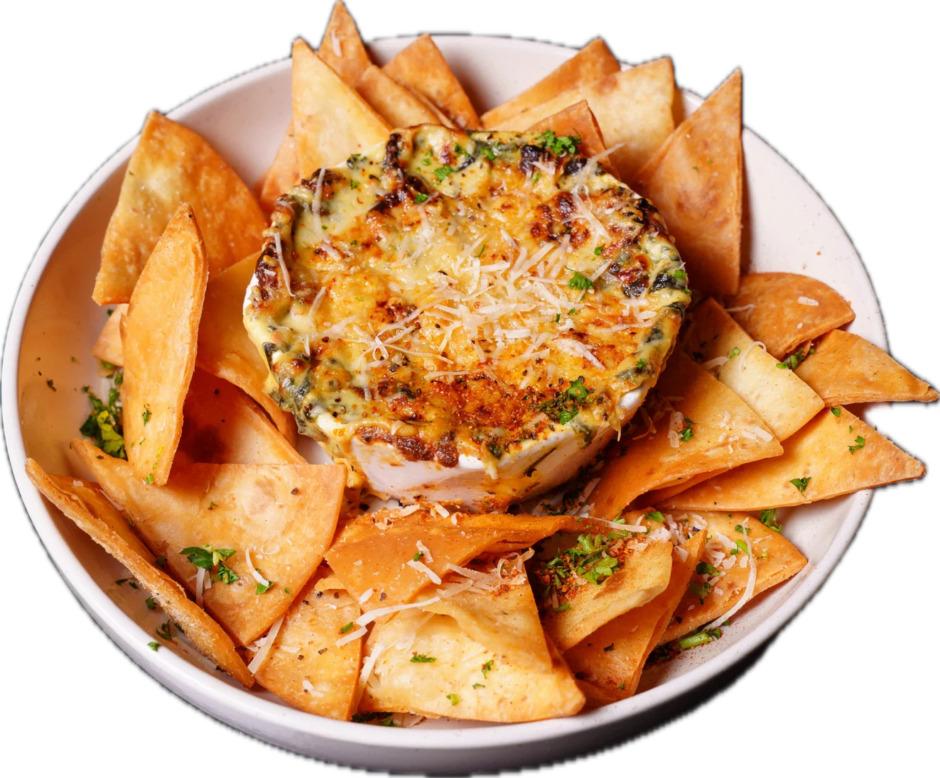 A creamy cheese dip served inside a bowl surrounded by crispy tortilla chips garnished with herbs.