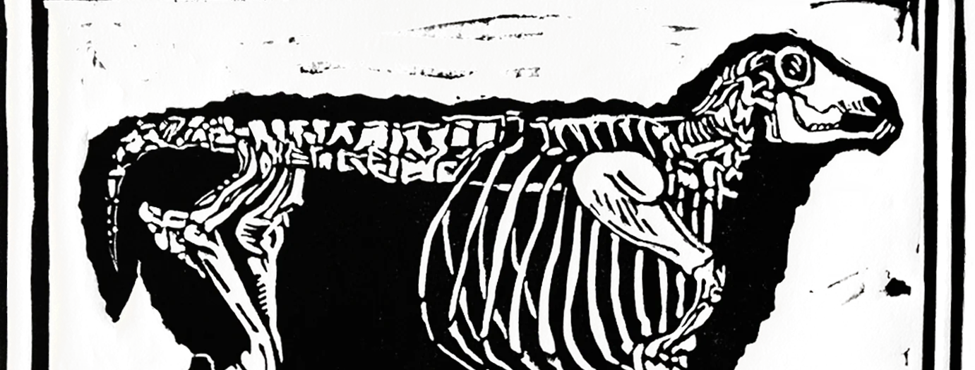 Banner image