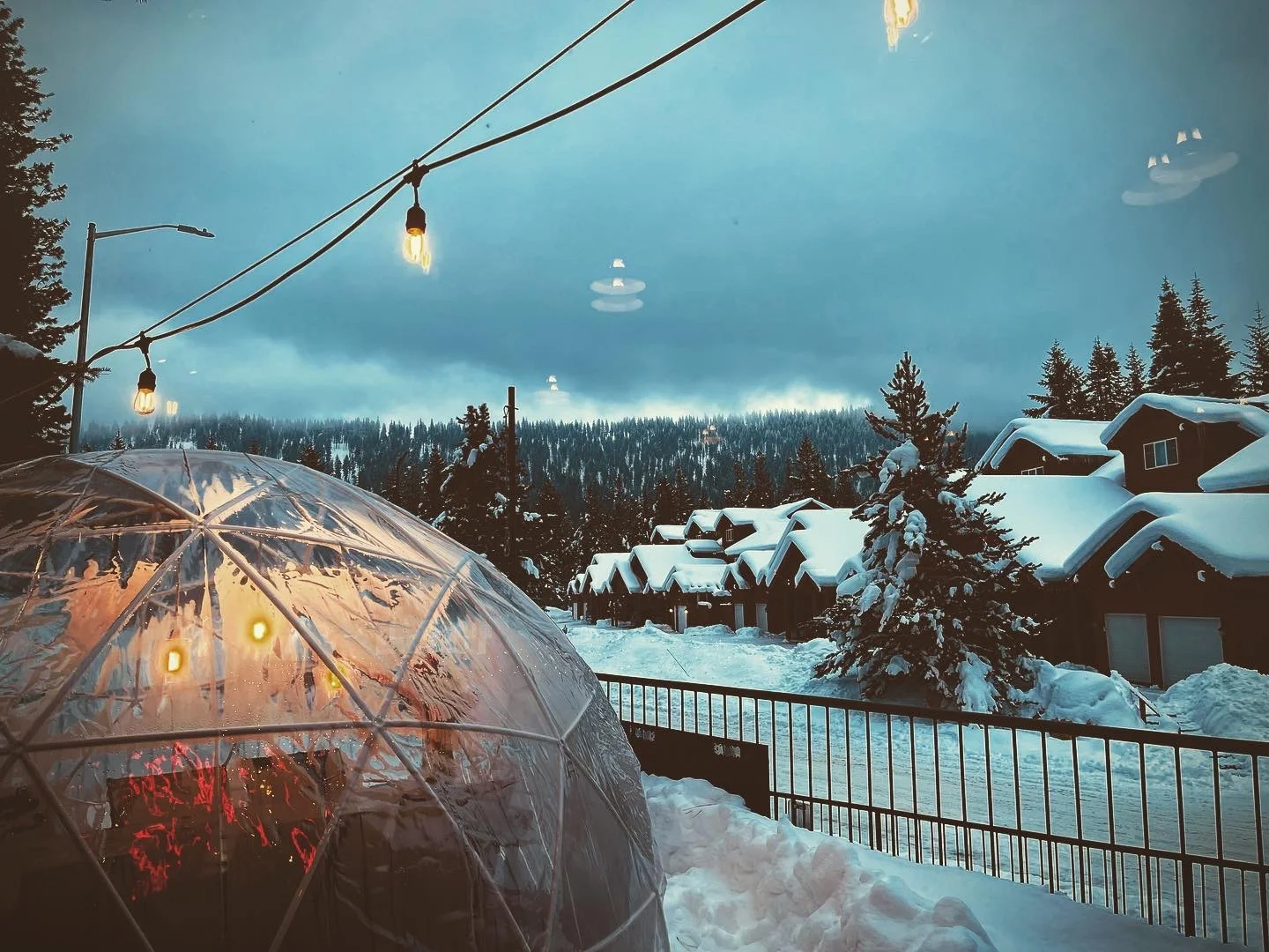 An outdoor area with igloo-like dining structures, surrounded by tall trees, and a decorative message about the season.