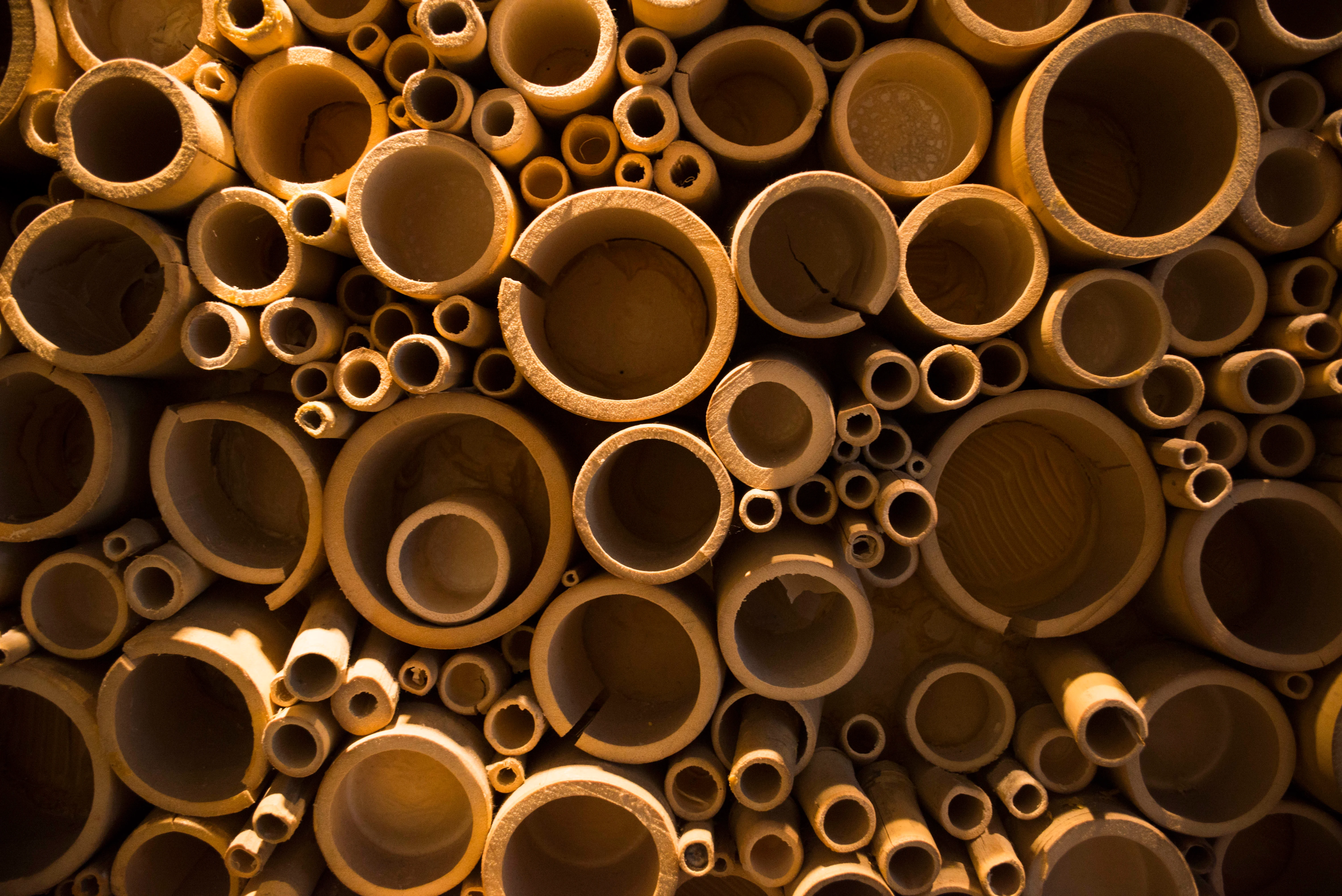 Abstract arrangement of bamboo tubes in warm tones