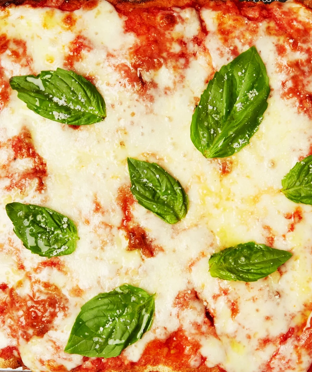 best pizza in Apex NC - best pizza in Raleigh NC - best pizza in the Triangle - best pizza in Cary NC - best pizza in North Carolina - Best pizza in NC - best pizza in Chapel Hill - Best pizza in Carrboro - best pizza in Durham - best pizza in Holly Springs NC - best pizza in Fuquay Varina - roman style pizza near me - roman pizza in Raleigh - pizza al taglio near me - pizza al taglio in Apex