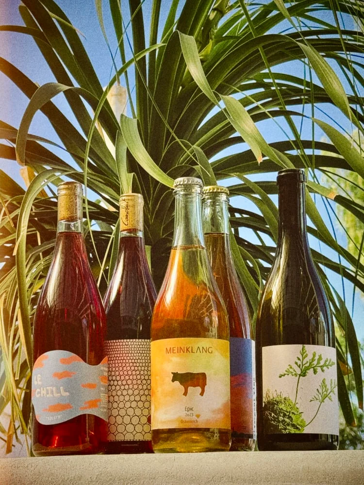 Selection of natural wines displayed with greenery