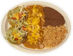 Plate of Mexican enchiladas with rice and beans