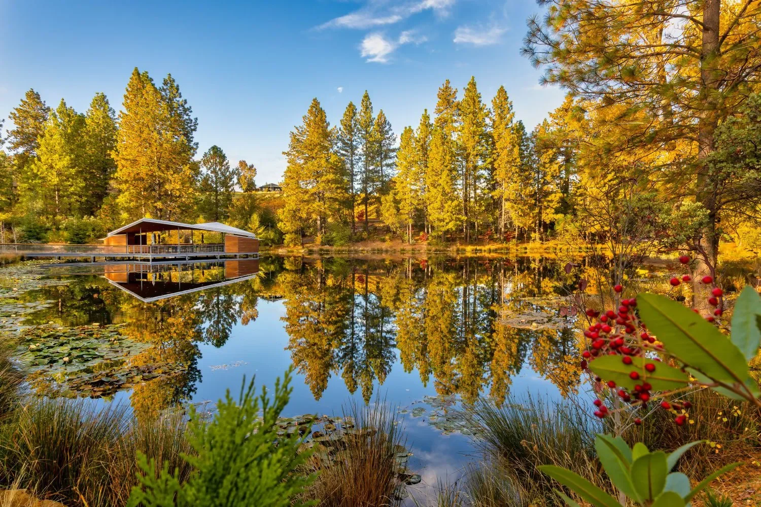 Scenic view of a lake with a wooden dock and autumn foliage reflections.