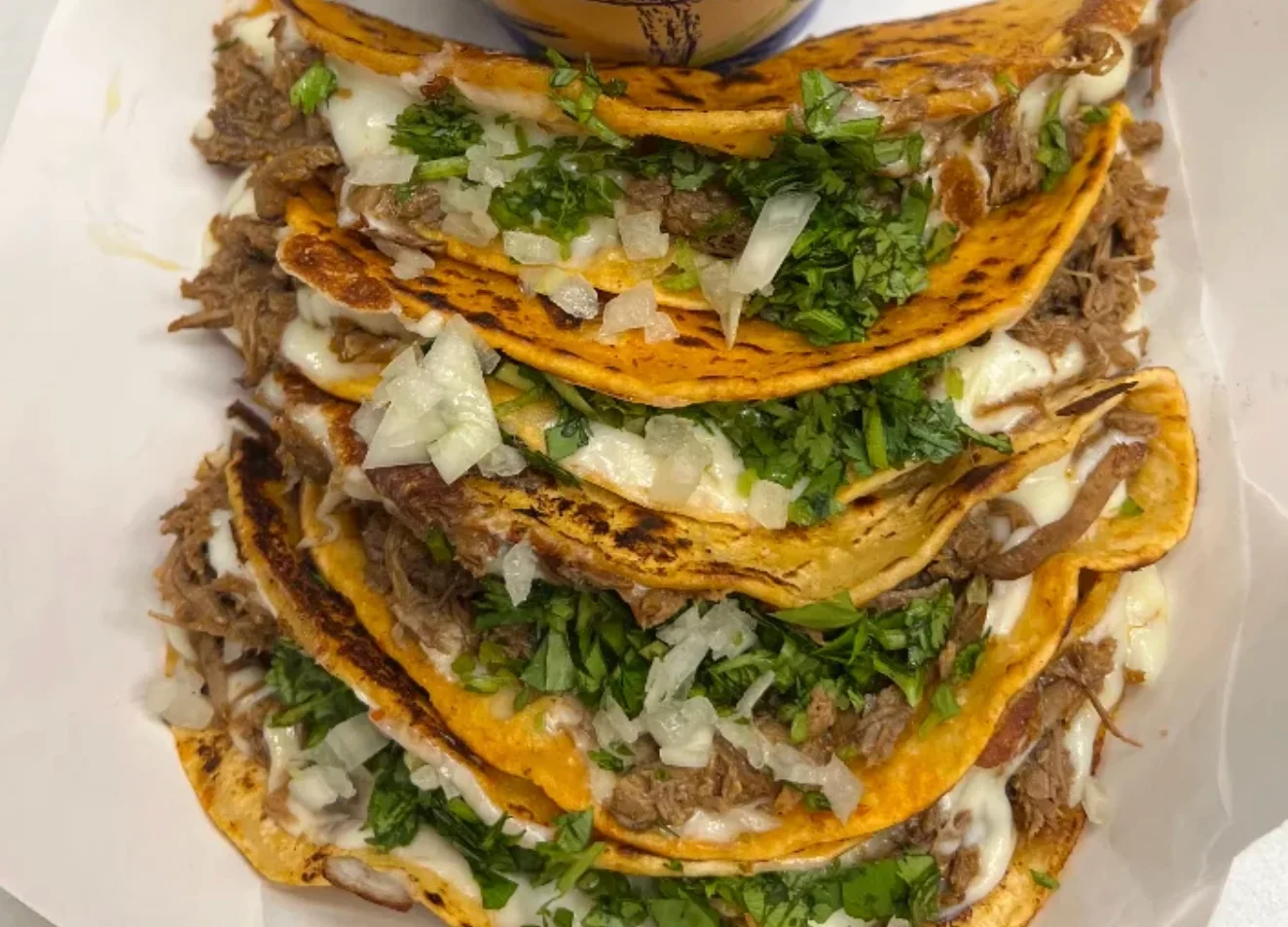 Authentic Mexican tacos with beef and fresh cilantro