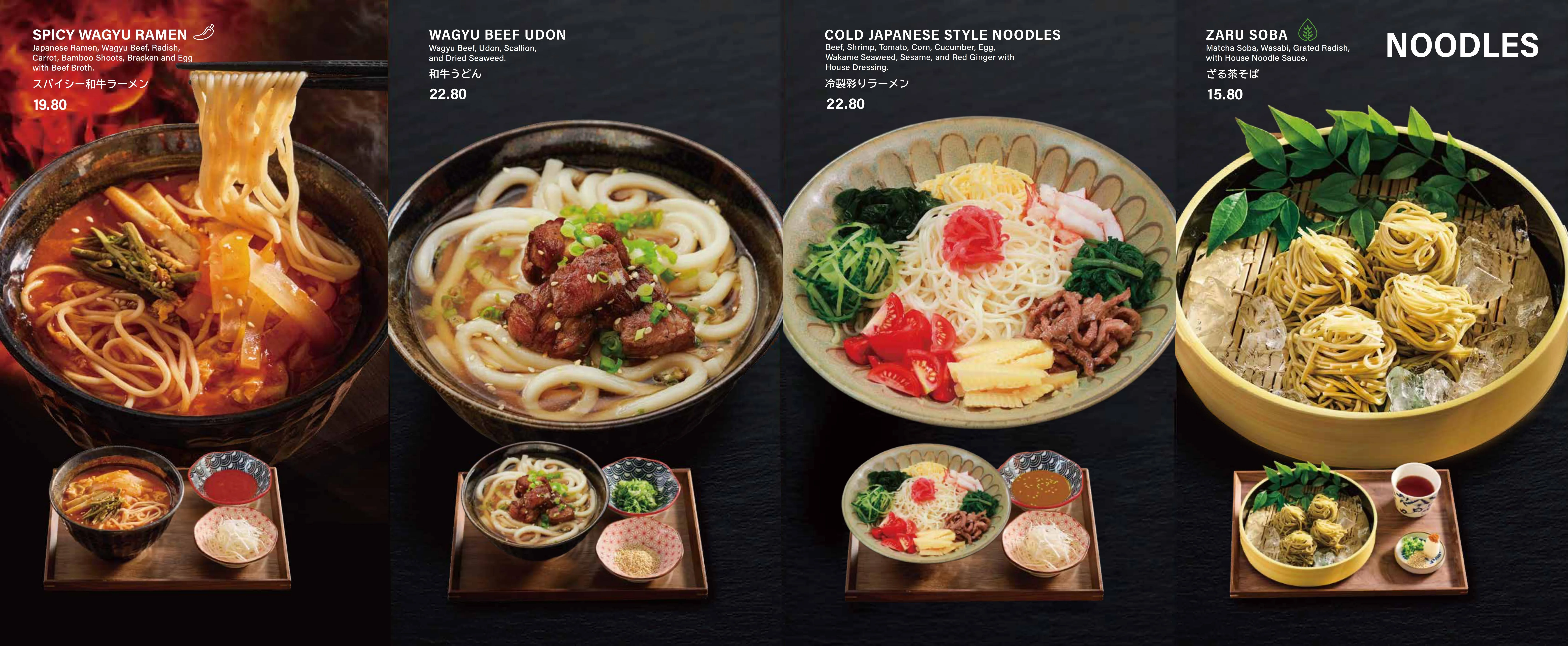 Japanese noodle dishes including ramen and udon