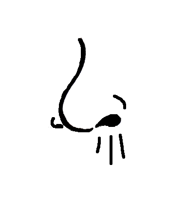 Artistic sketch of a cat's nose with whiskers