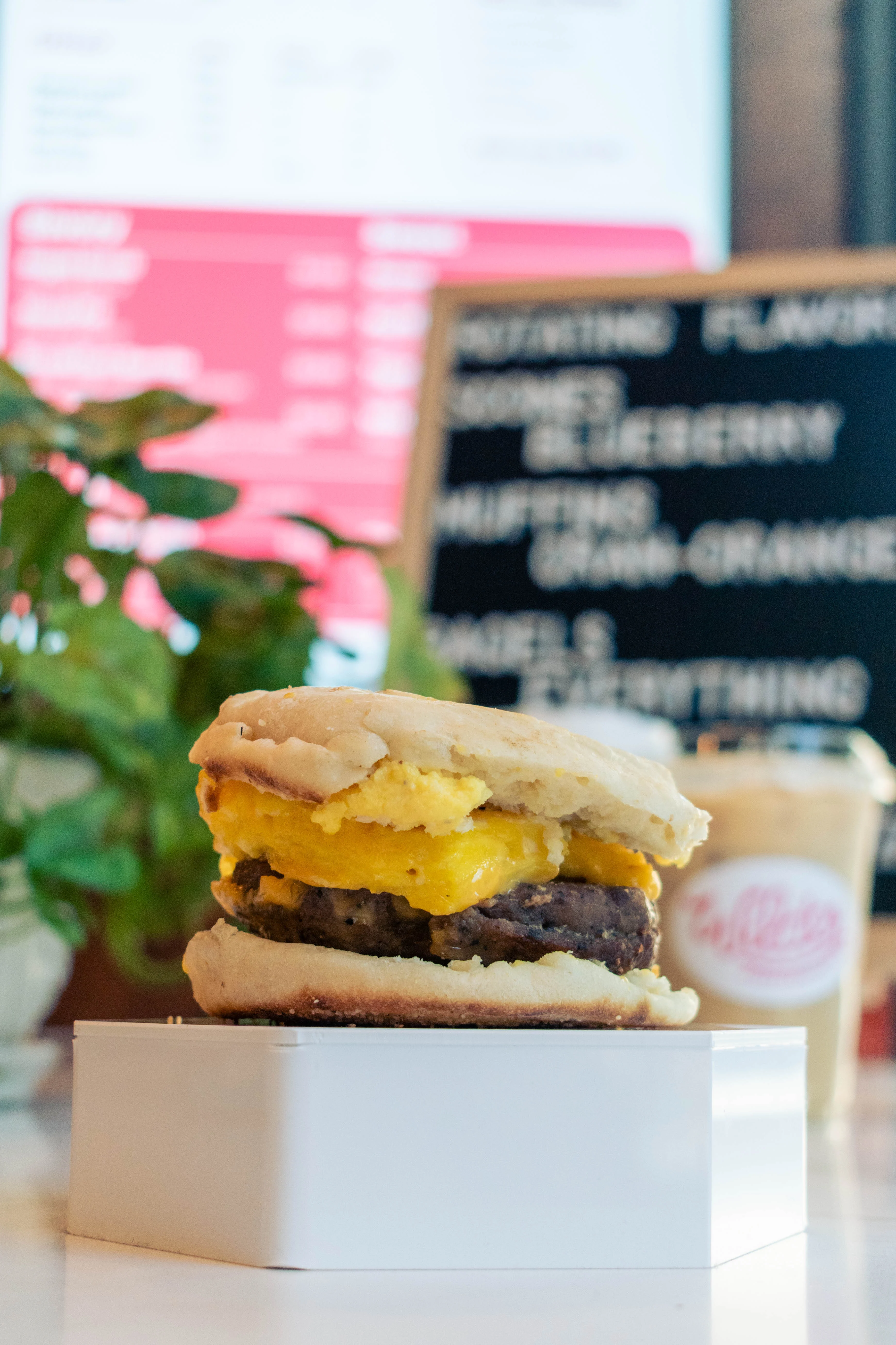 Biscuit and egg sandwich 