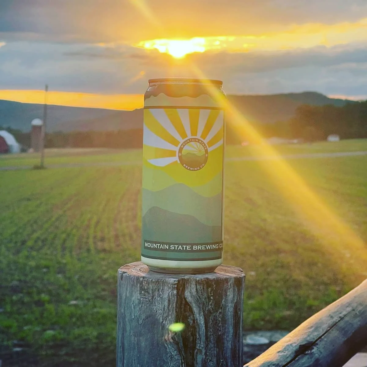 Mountain State Brewing Co. beer can at sunset in a scenic landscape