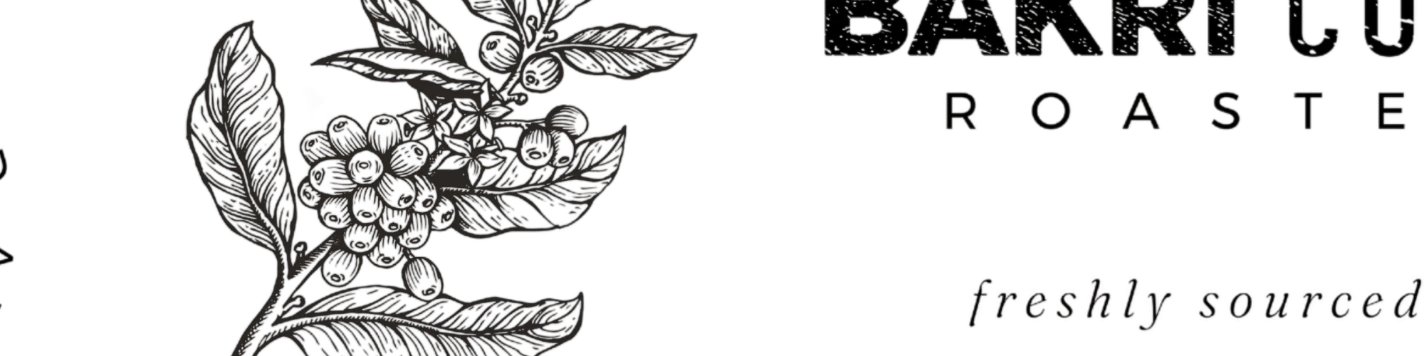 Artistic coffee branding design for small batch roasters