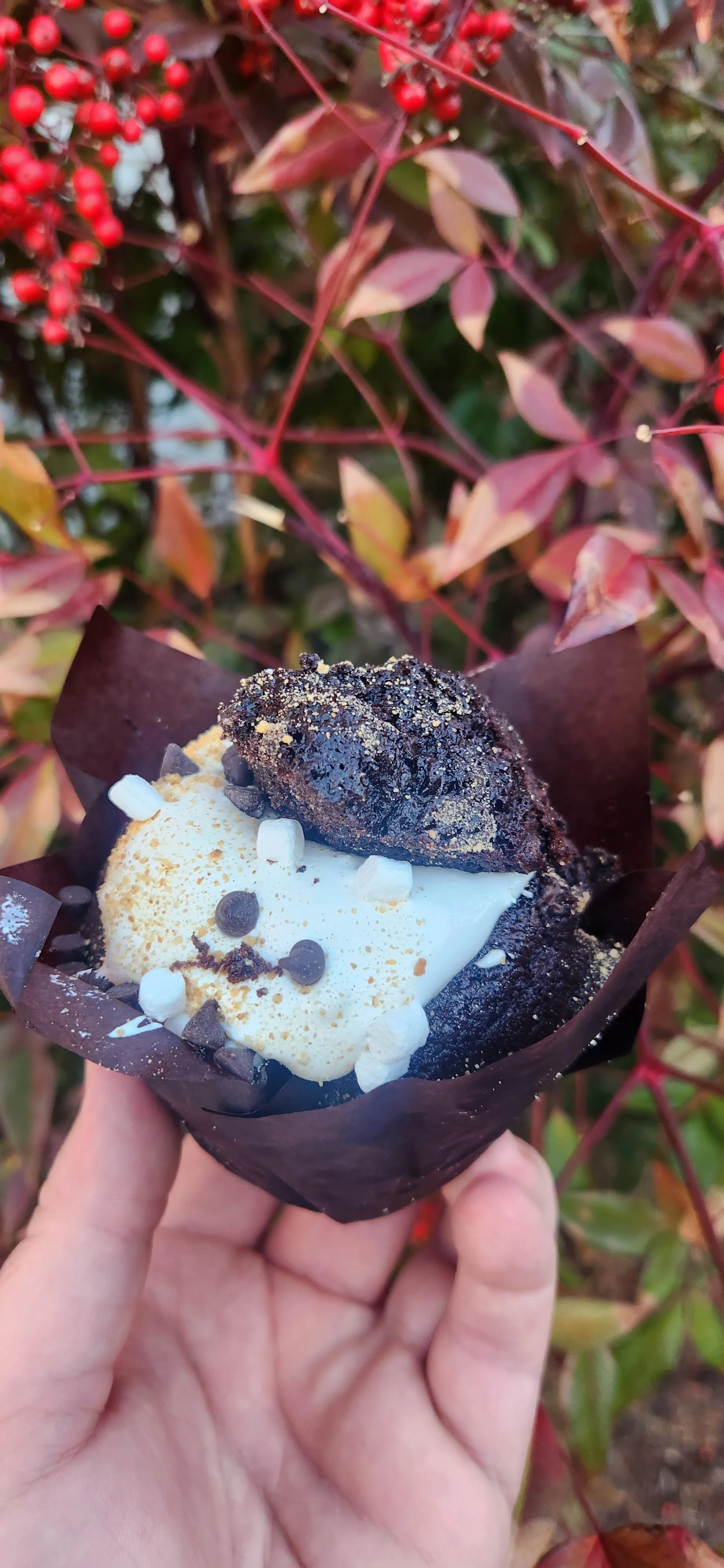 Stuffed Muffin- S'mores