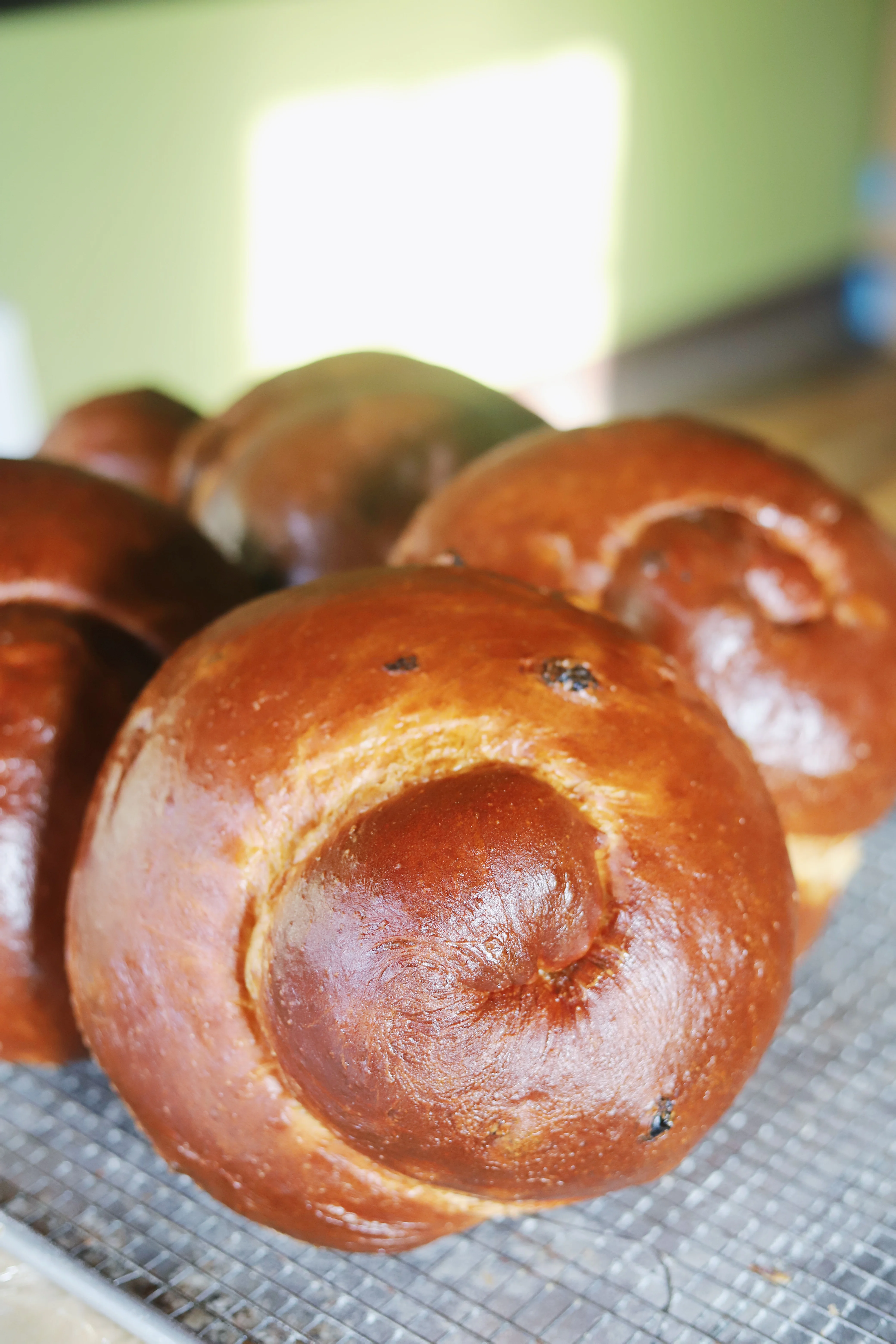 Freshly baked challah bread loaves with a golden crust