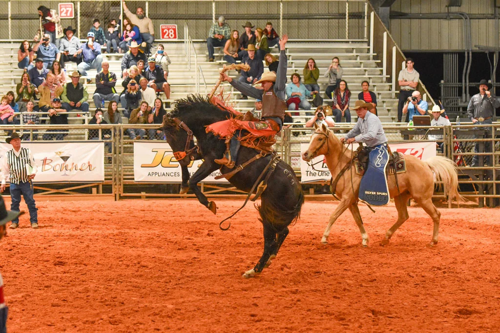 Cowboy riding a bucking horse at a rodeo event