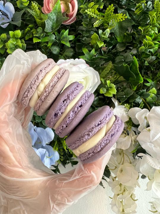 macaronさま専用です！ zNOGUNlwMmSRkIFAo371.jpg?w=700