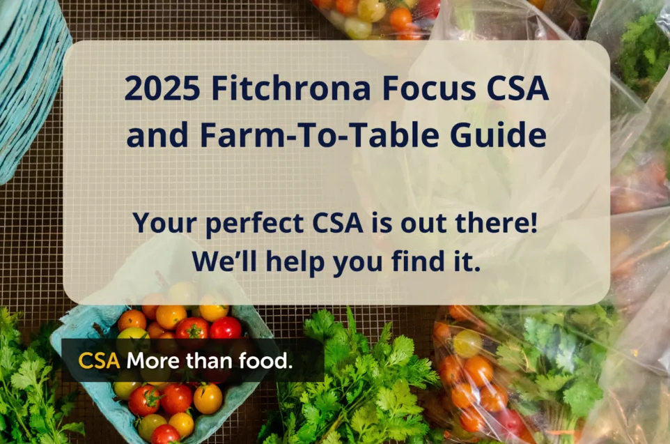 Colorful farm-fresh produce in a CSA basket