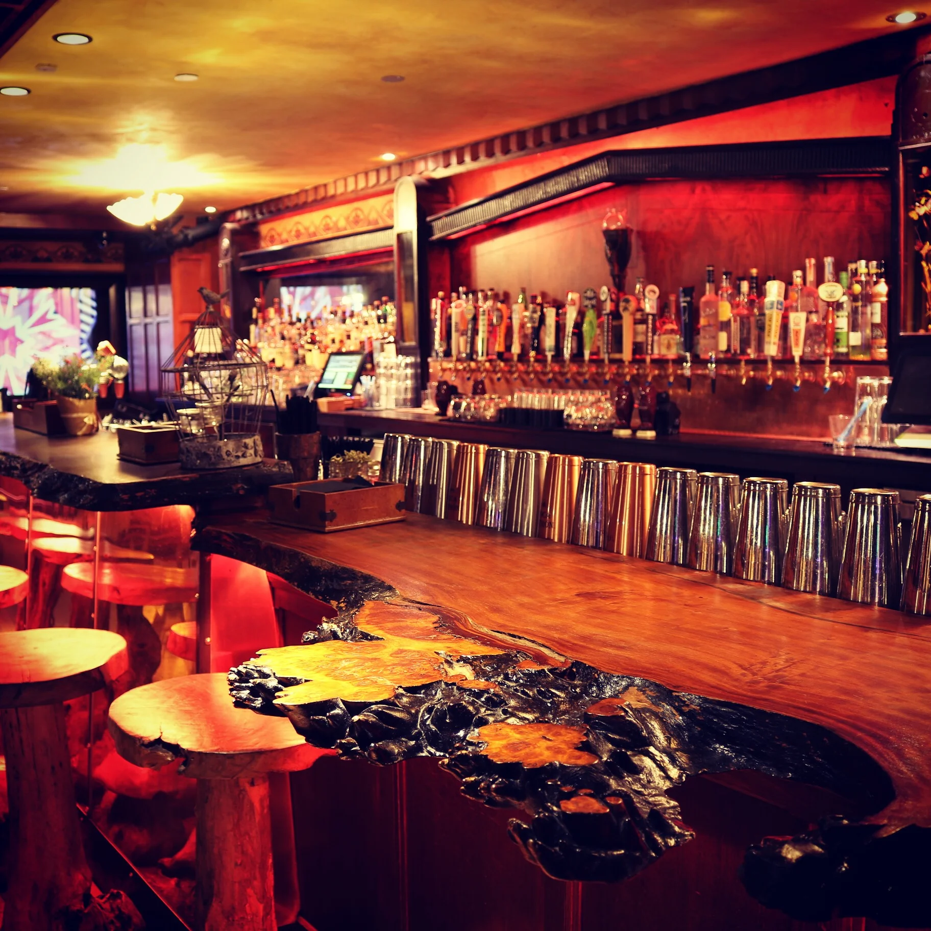 Bar photo 2