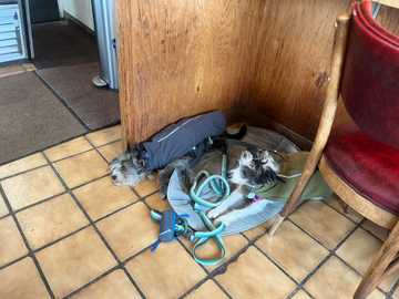 Photo from Bill L.'s review