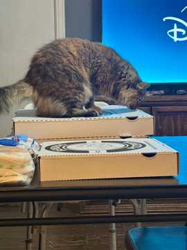Photo from Meagan B.'s review