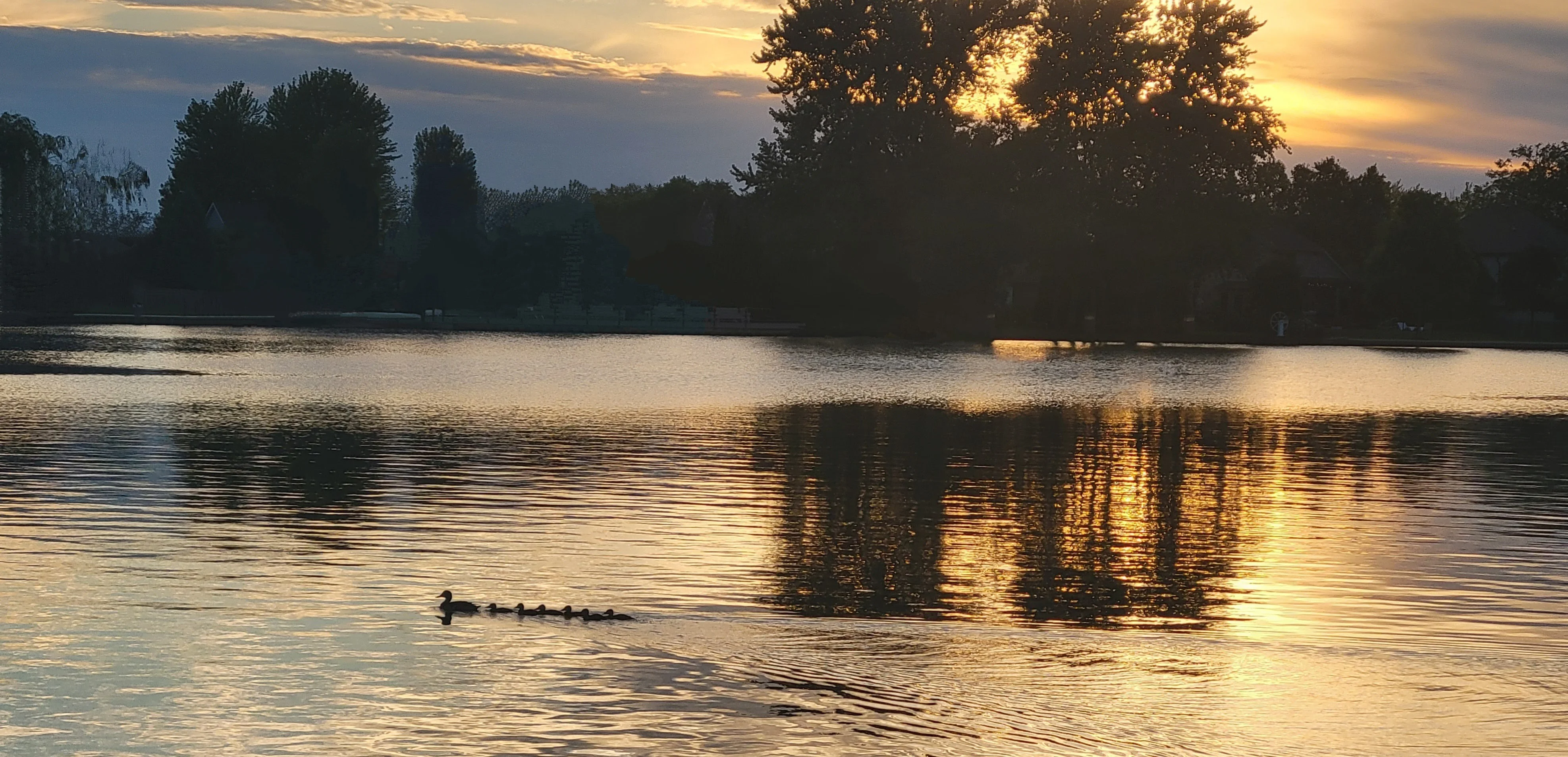 Serene sunset over a lake with ducks swimming