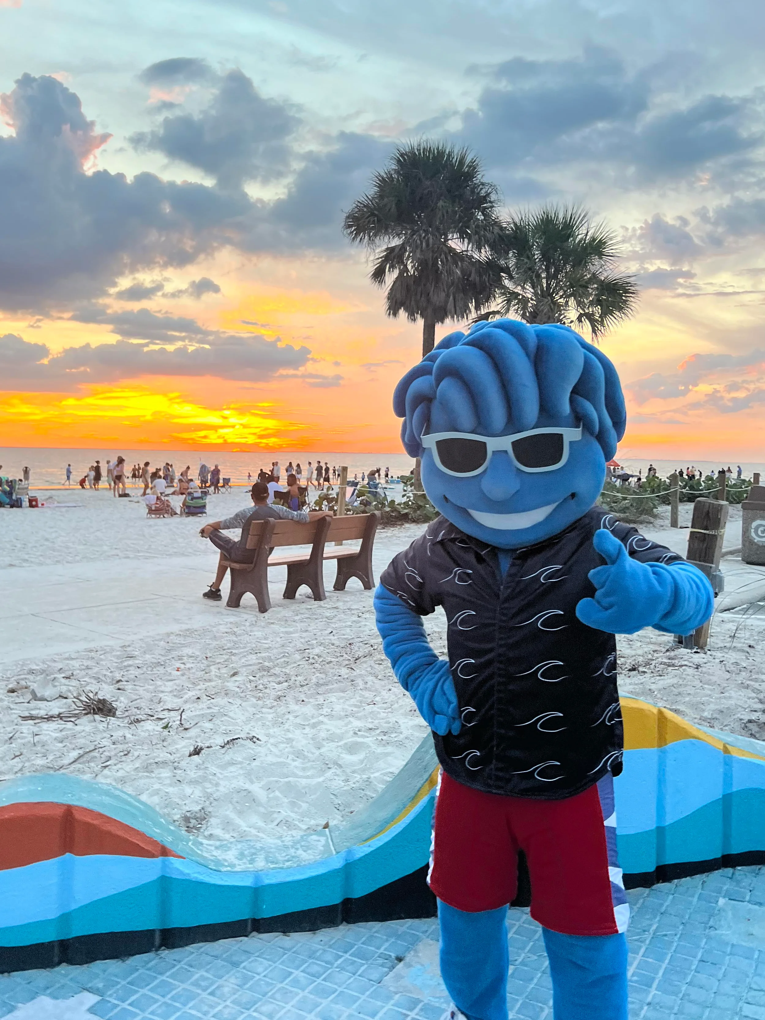 Mr. Waves Chilling by the Beach