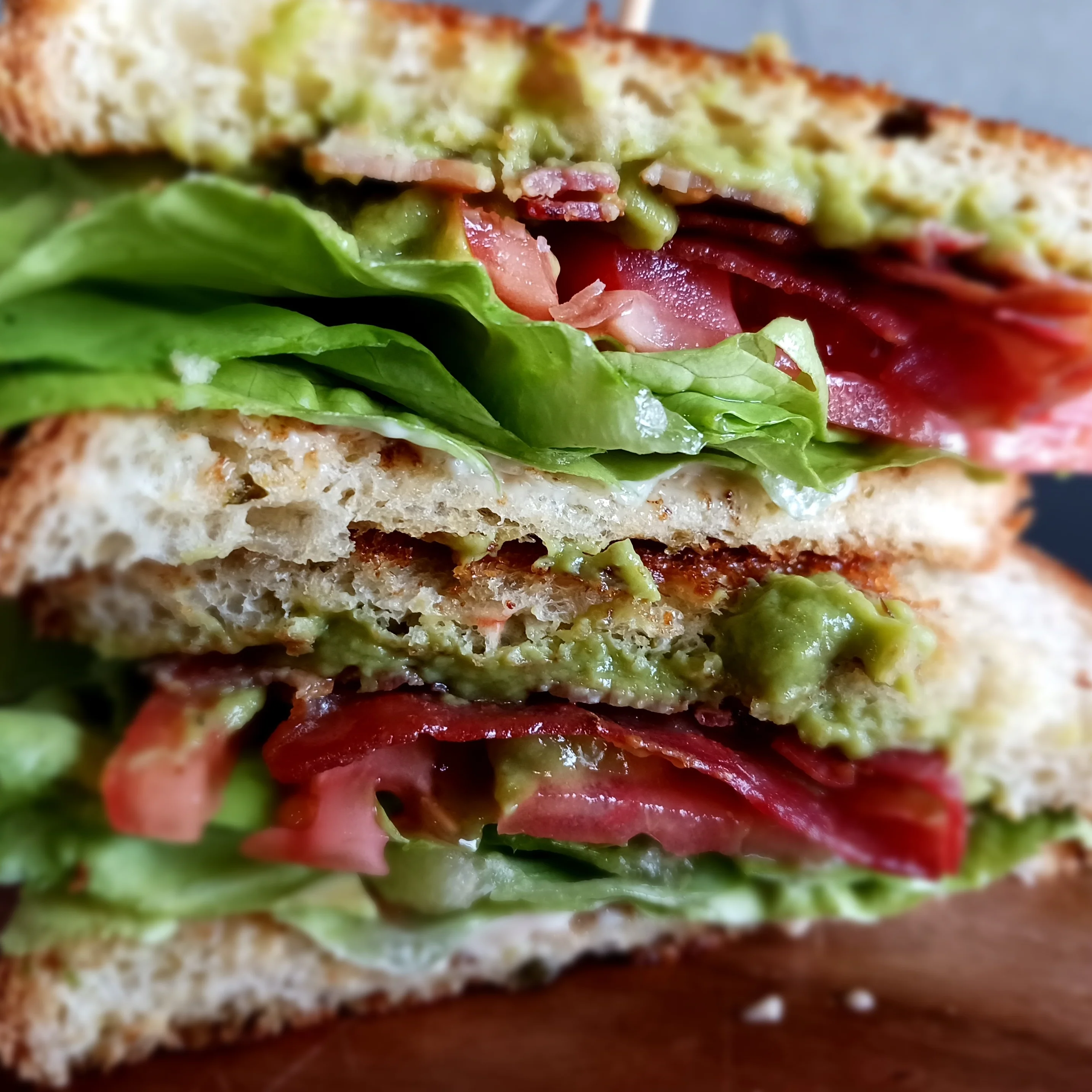 Gourmet Sandwich