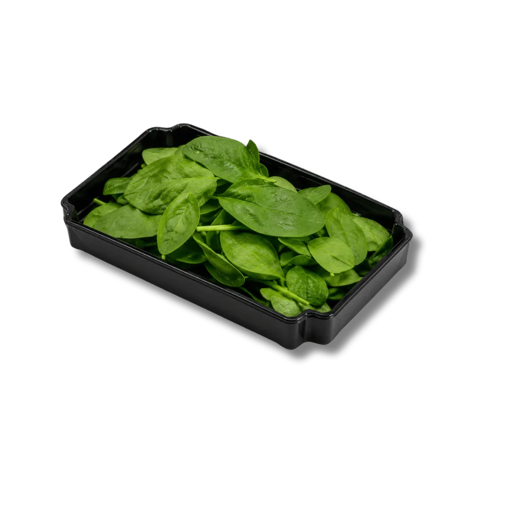 Fresh spinach leaves in a black plastic container.