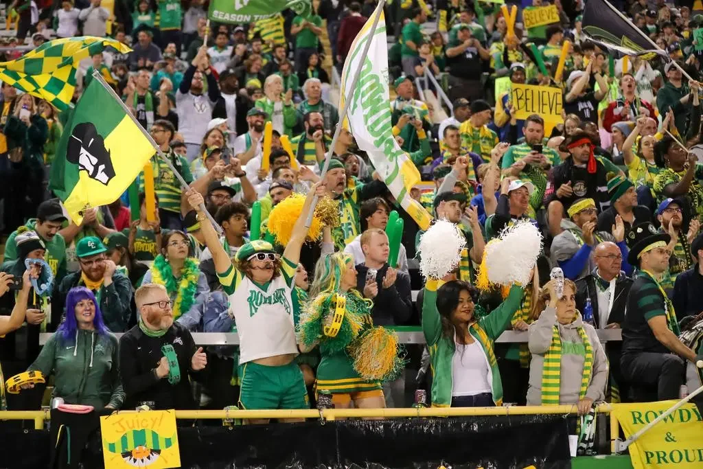 Energetic crowd cheering at a soccer match with flags and banners