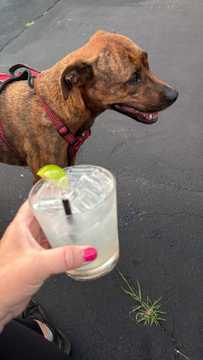 Photo from Sarah L.'s review