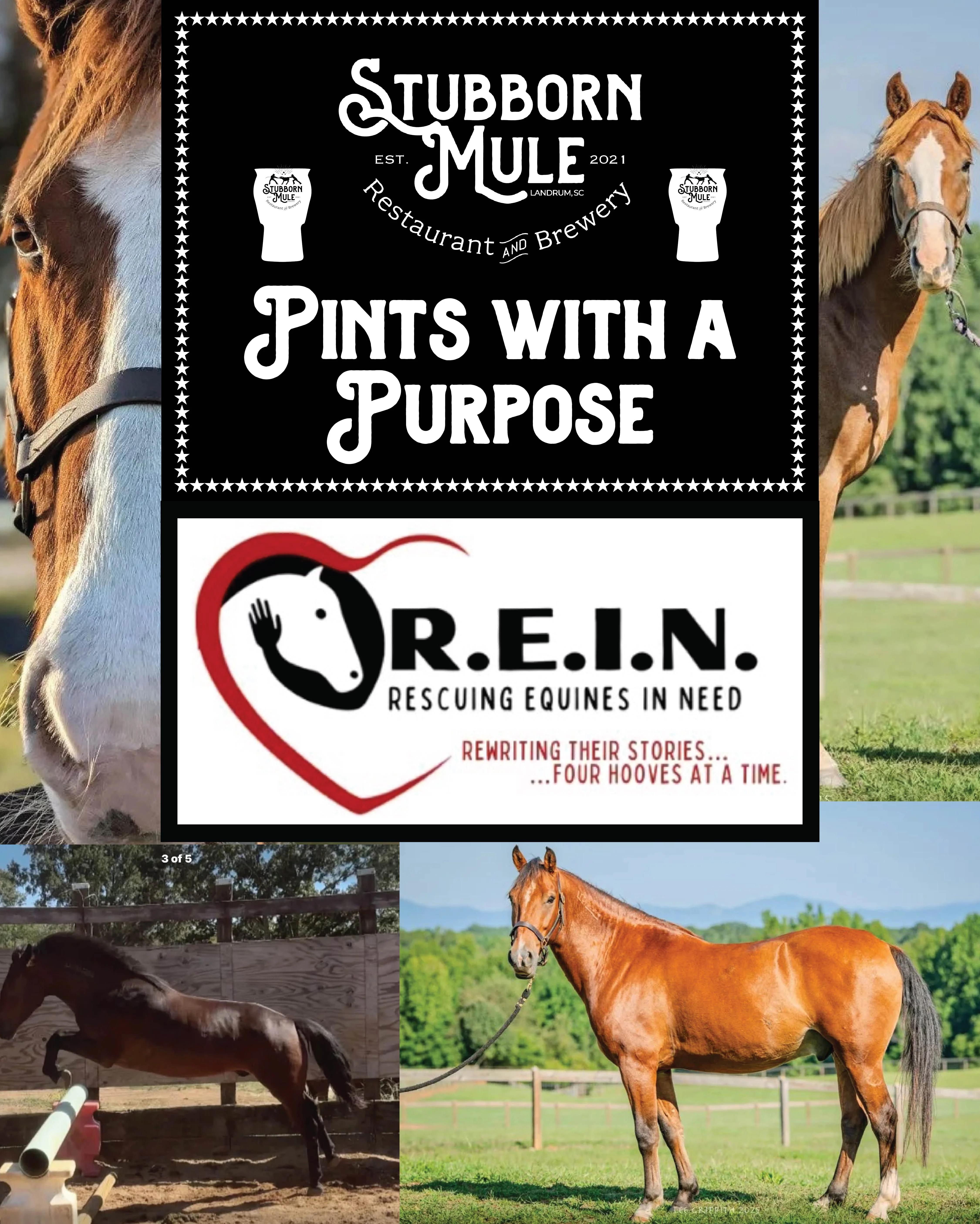 Stubborn Mule restaurant promoting equine rescue event