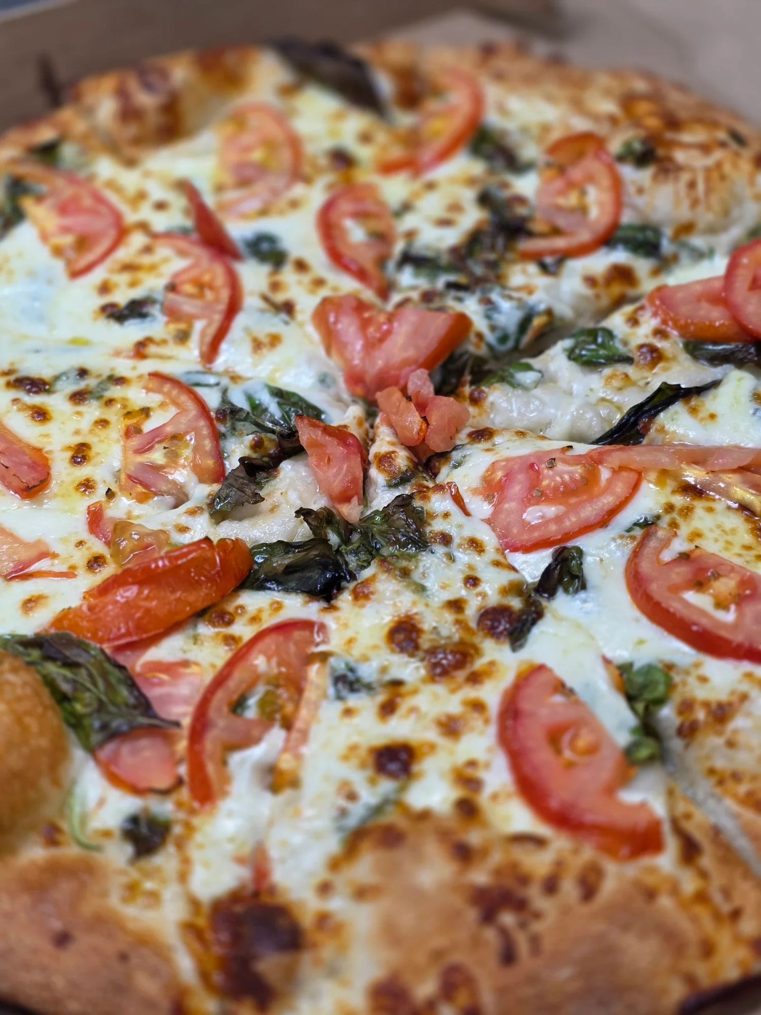 Delicious Margherita pizza topped with fresh basil and tomatoes