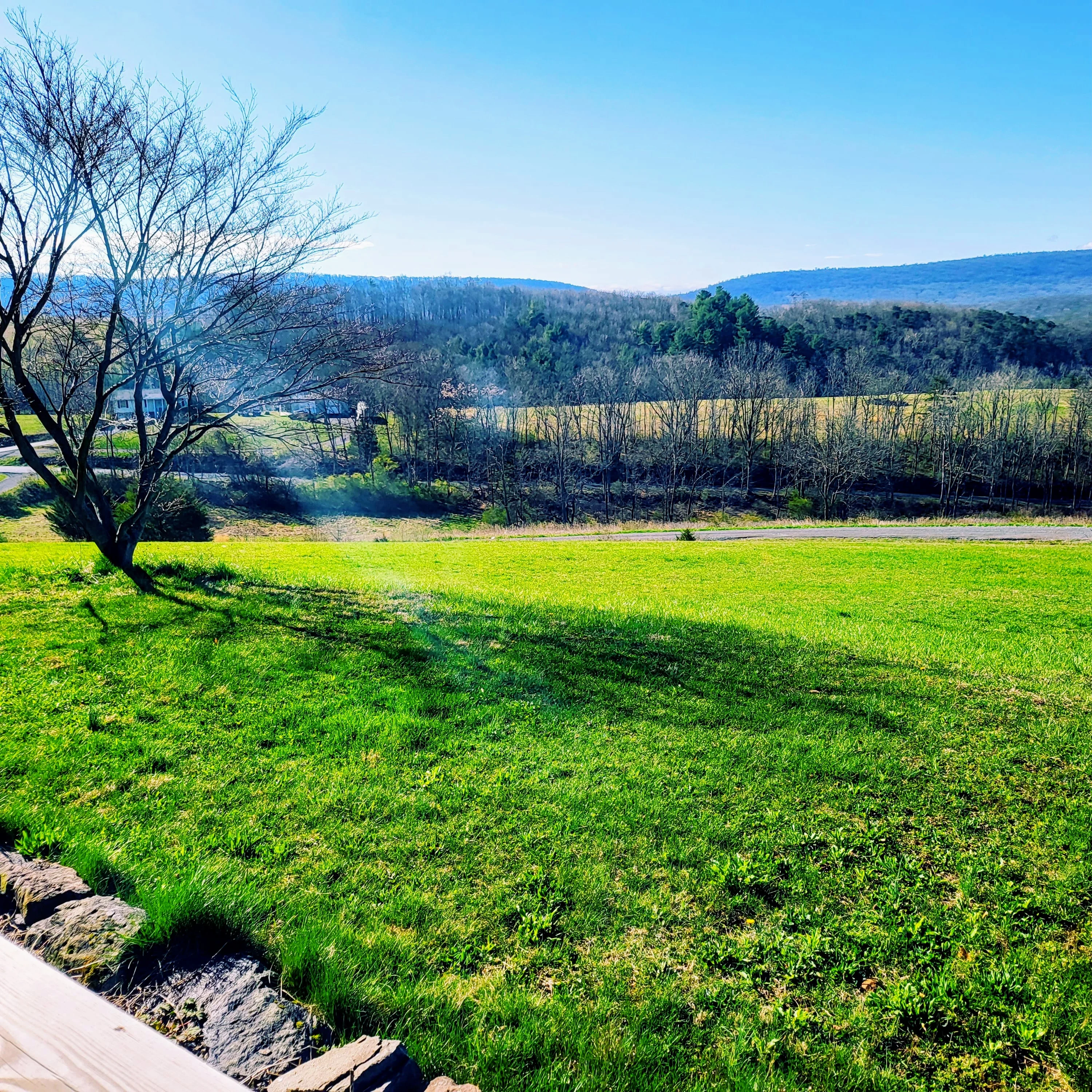 Scenic view of green landscape with mountains and clear blue sky