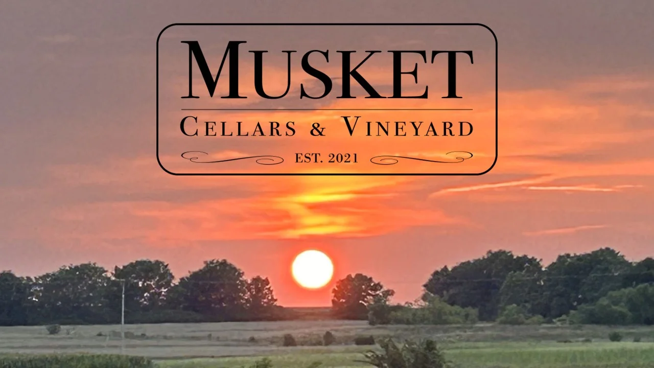Sunset over a vineyard with Musket Cellars & Vineyard logo