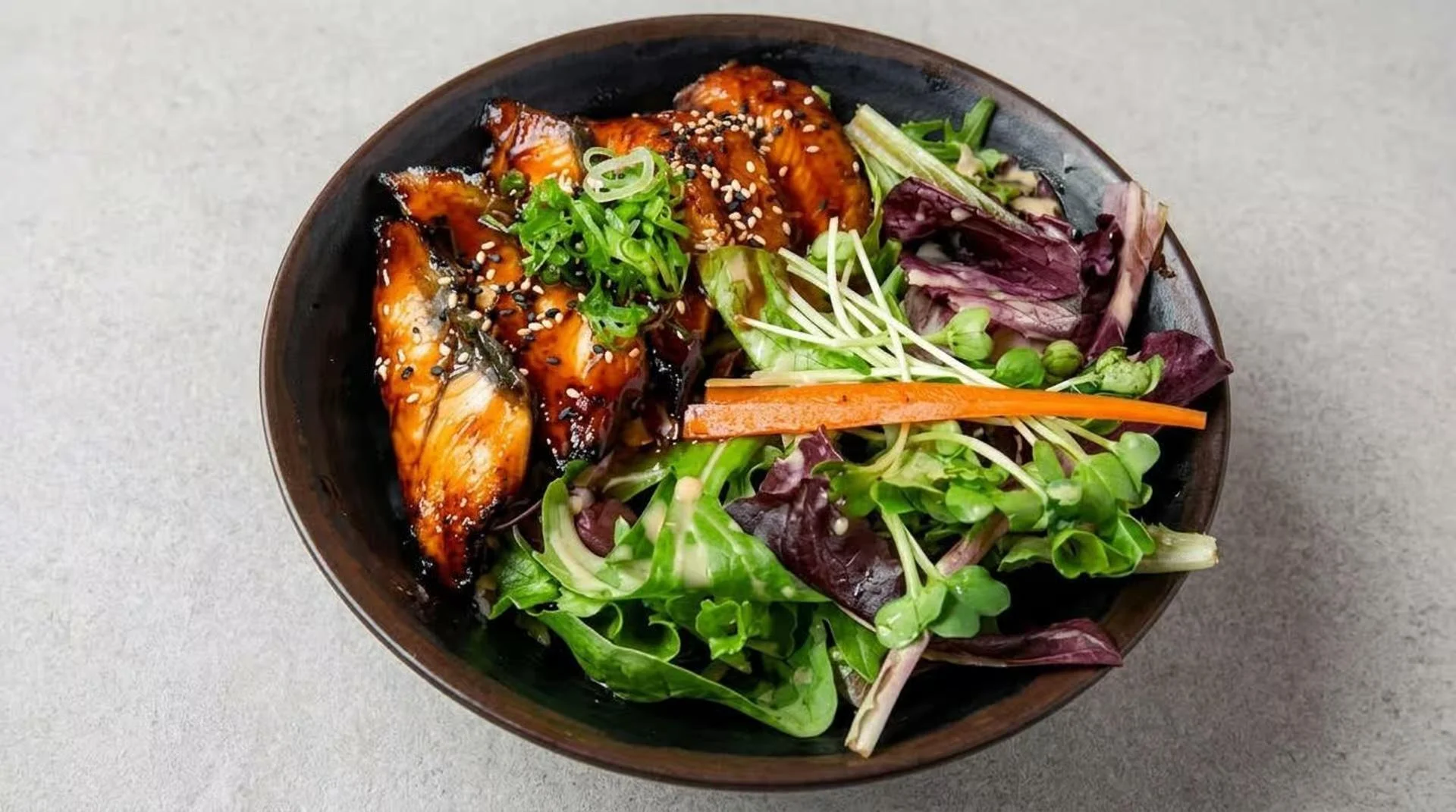TS1 Unagi Donburi