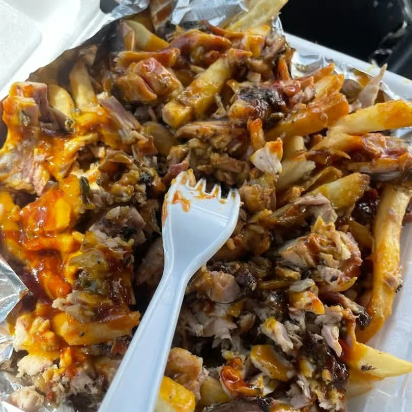 A container of loaded fries topped with pulled meat and sauce.