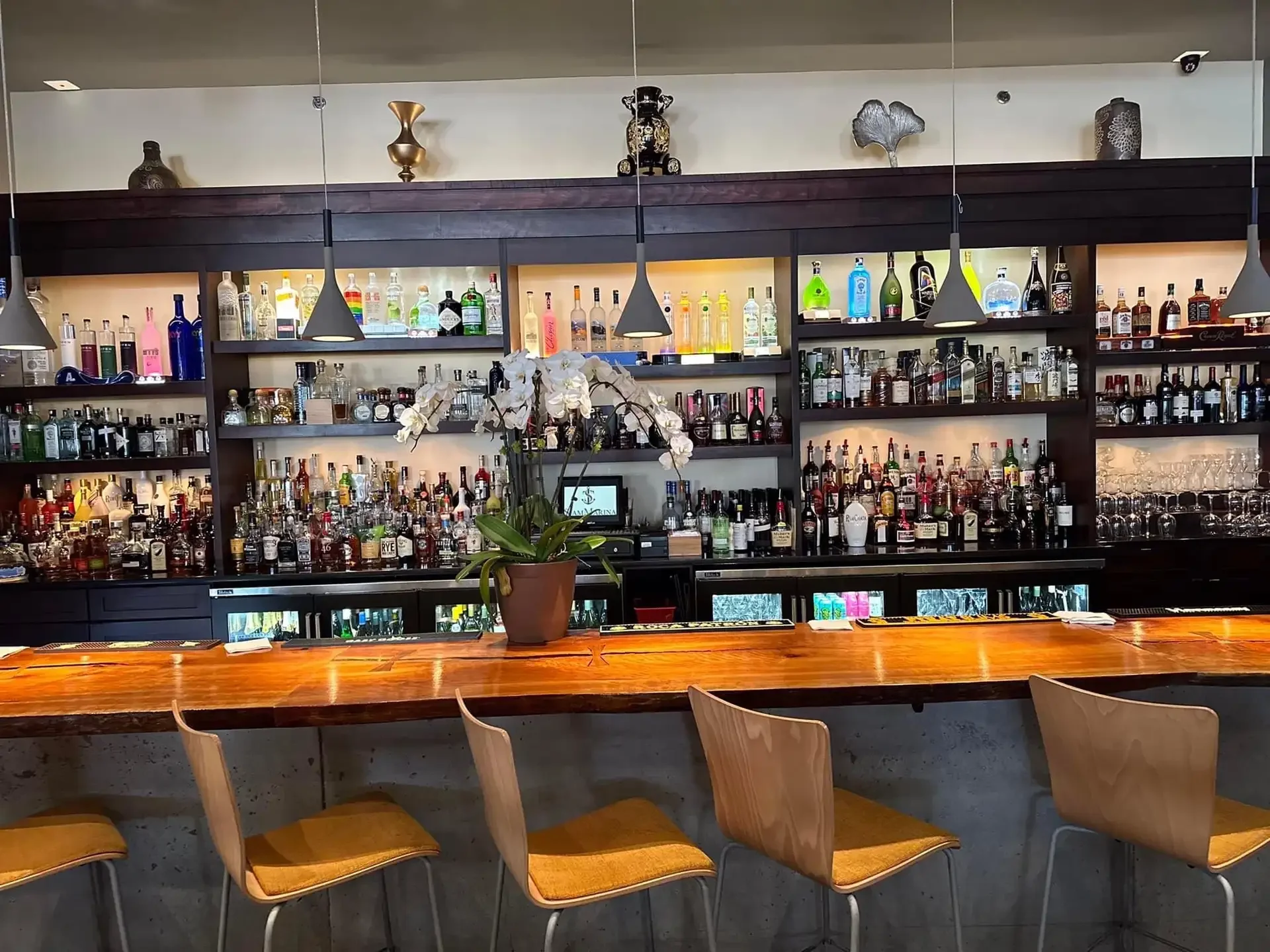 Closeup of Room divider of green branches beyond which is the lounge with tall tables and stools and a wall to wall wood topped bar. 