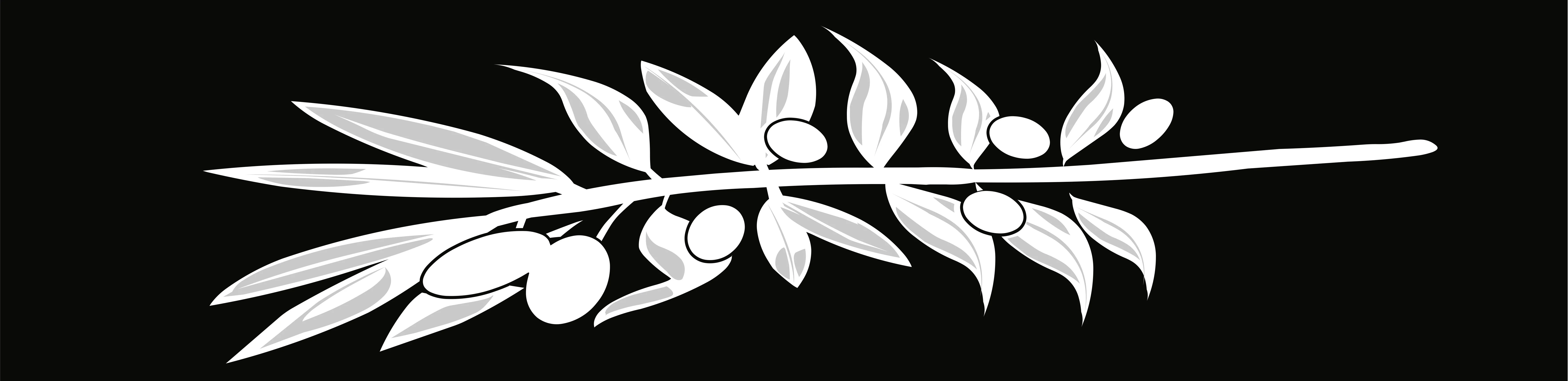 Pizzeria DiLauro logo featuring olive branch design