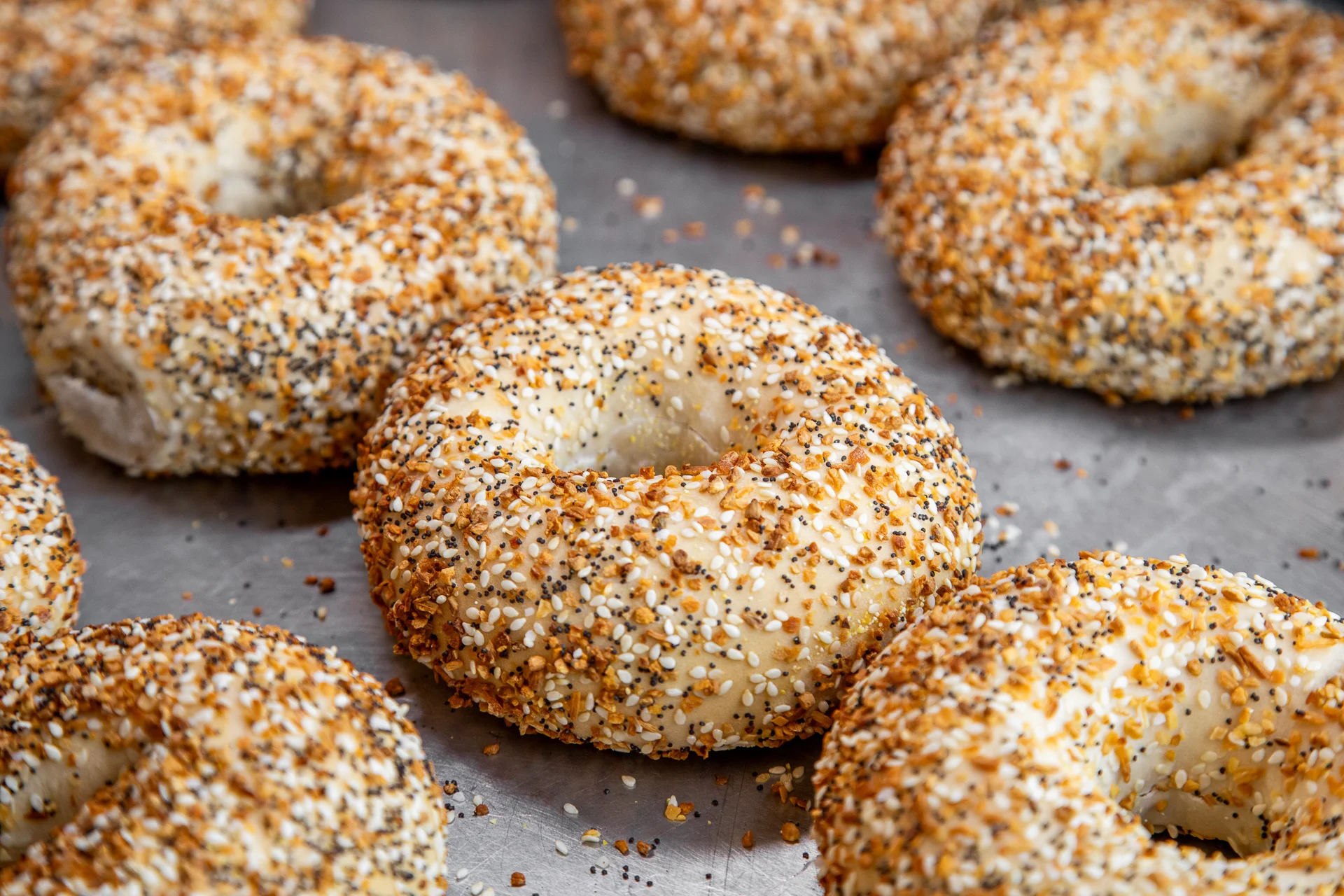 BAGELS ONLY