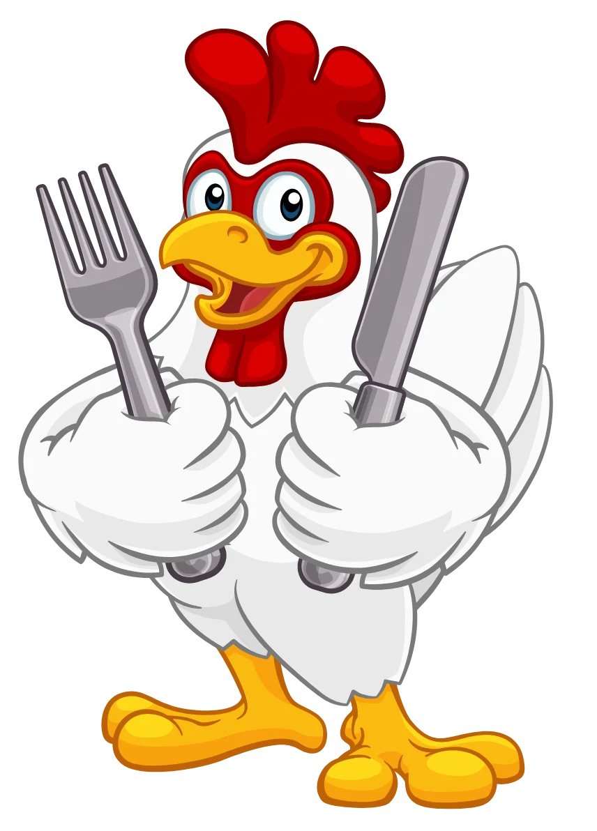 chicken illustration