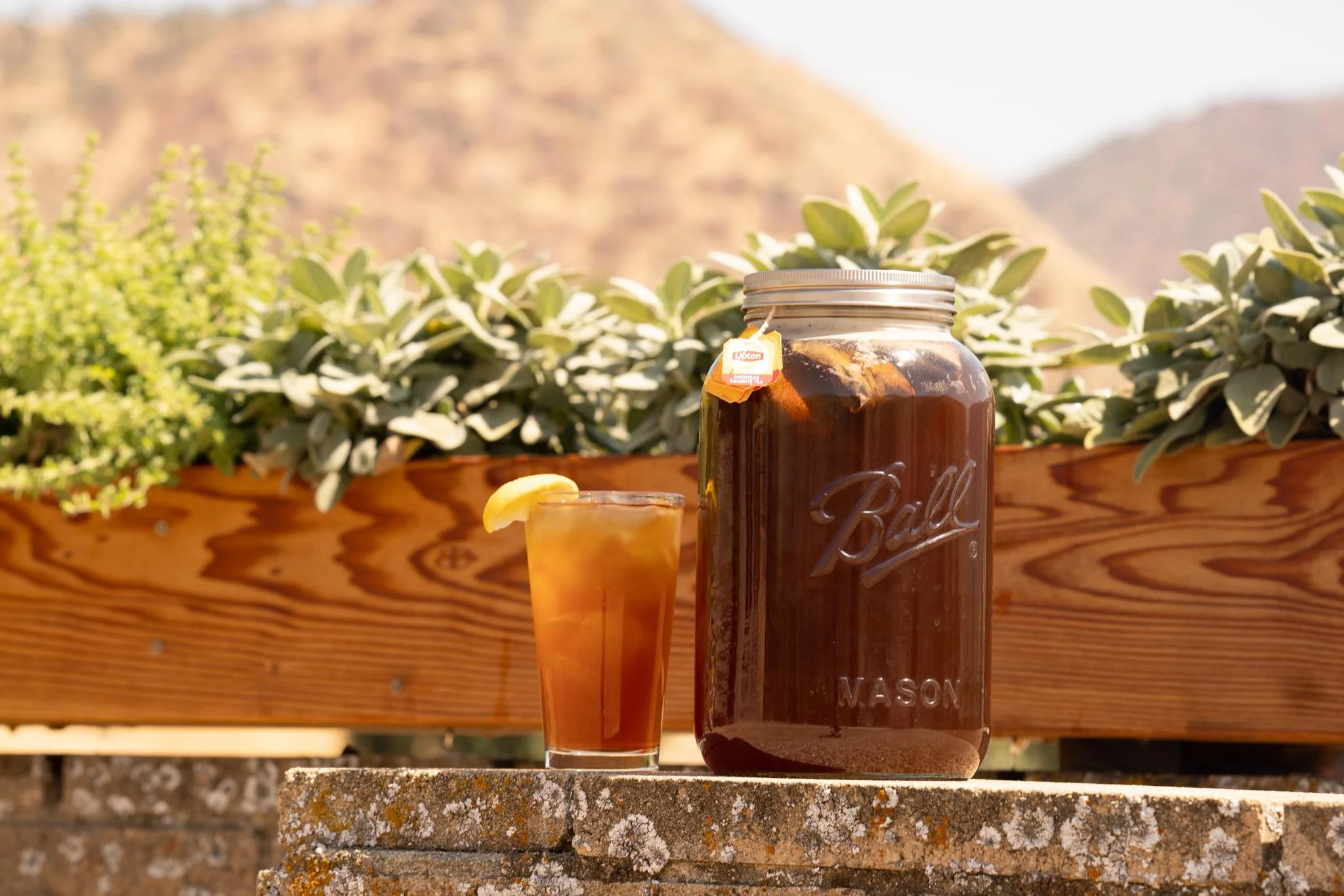 Refreshing iced tea served in a mason jar with lemon slice