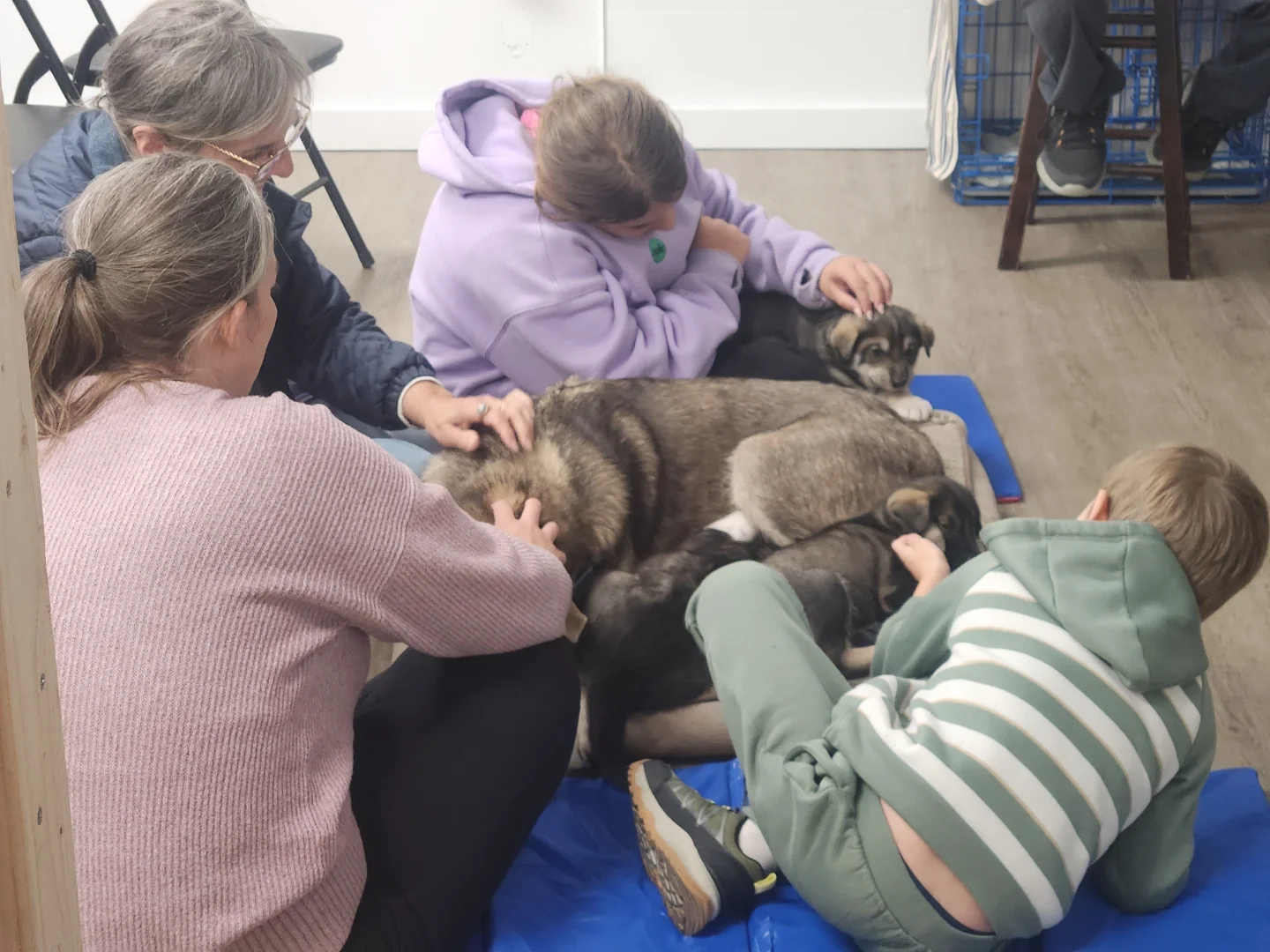 Hanging with Puppies