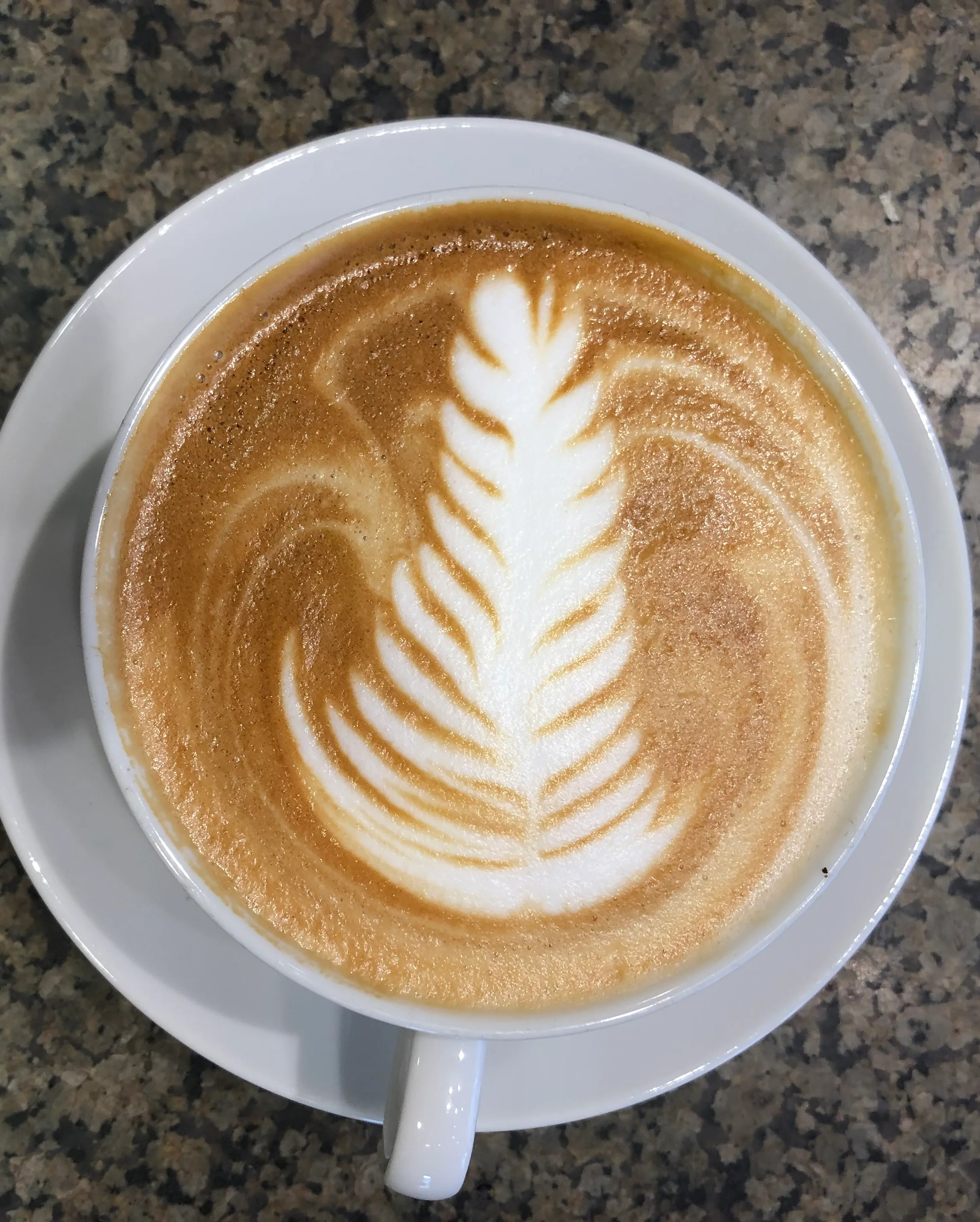 Artisan latte with beautiful leaf design